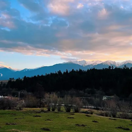 Alpine View Villa *