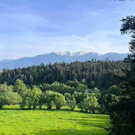 Alpine View 빌라